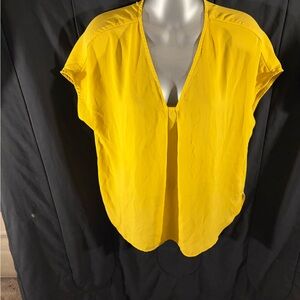 Naked Zebra S V-Neck Cap Sleeve Women's Top